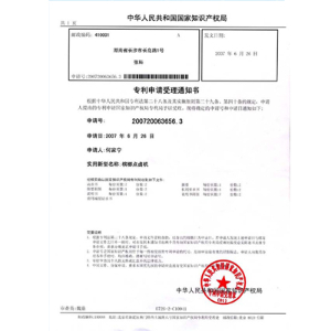 槟榔点卤机专利